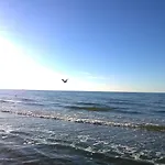 In Mit Meeresstrand * Zierow