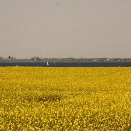 Lejlighed In Mit Meeresstrand