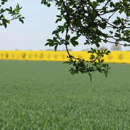 In Mit Meeresstrand Lejlighed Zierow