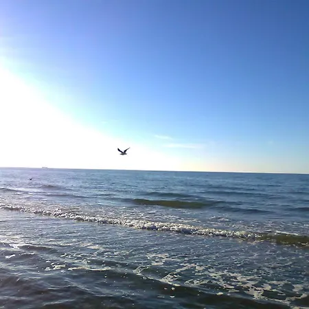 In Mit Meeresstrand * Zierow