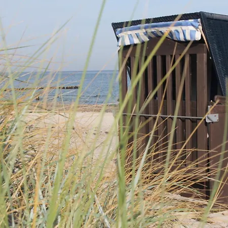 In Nahe Meeresstrand Zierow